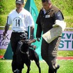 John Soares Dog Trainer. Dog training tips from the CIA