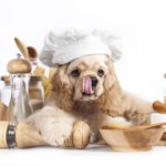 slow-cooker dog food