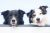 two dogs border collies