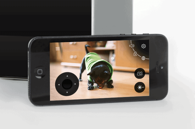 high tech dog gadgets