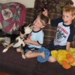Help children and dogs bond: Sydney an Australian shepherd/corgi mix plays on the couch with two young boys