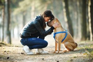 dogs improve owners' health