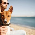 Pick the perfect dog-friendly road trip destination