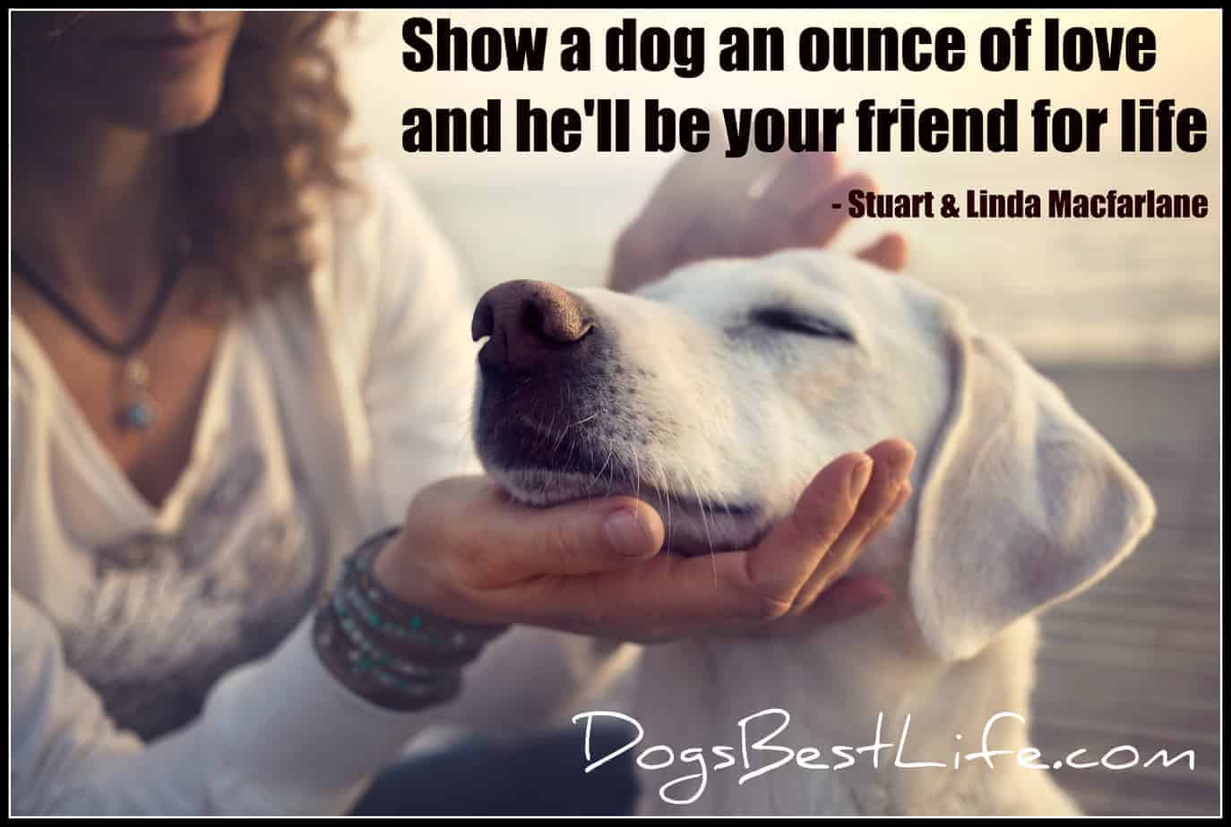 friend for life