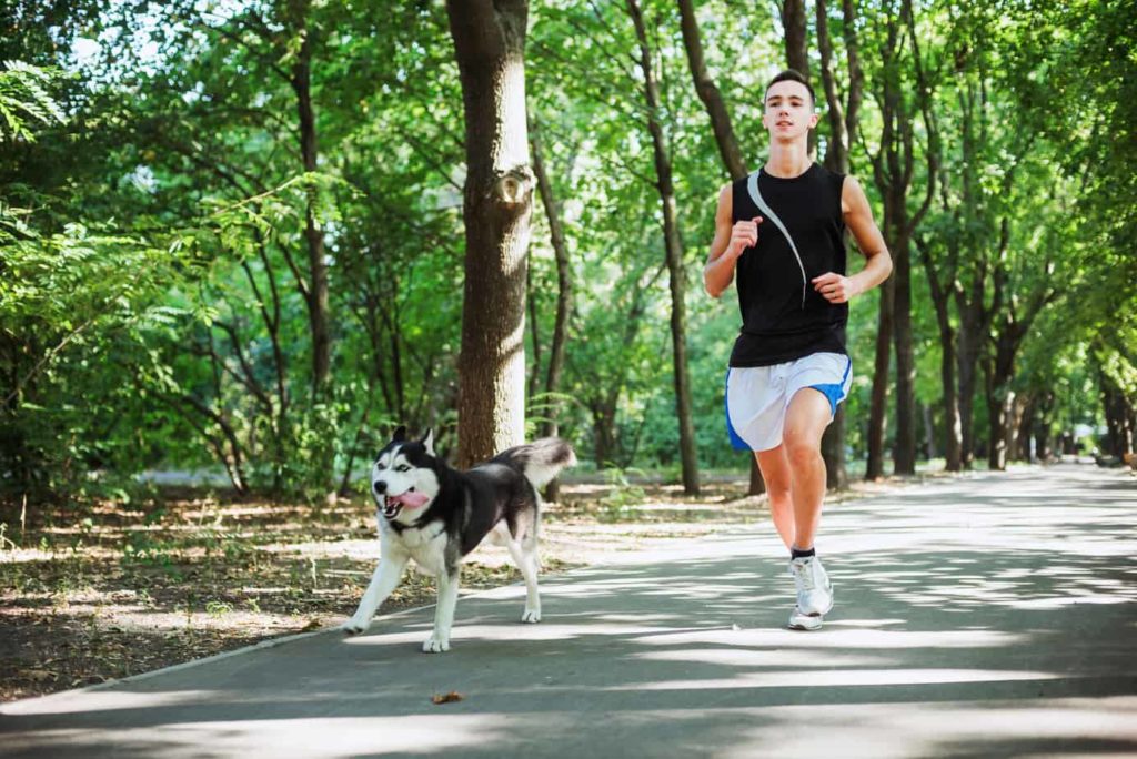 man runs with dog. forced exercise can injure dog