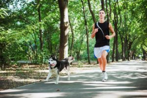 man runs with dog. forced exercise can injure dog