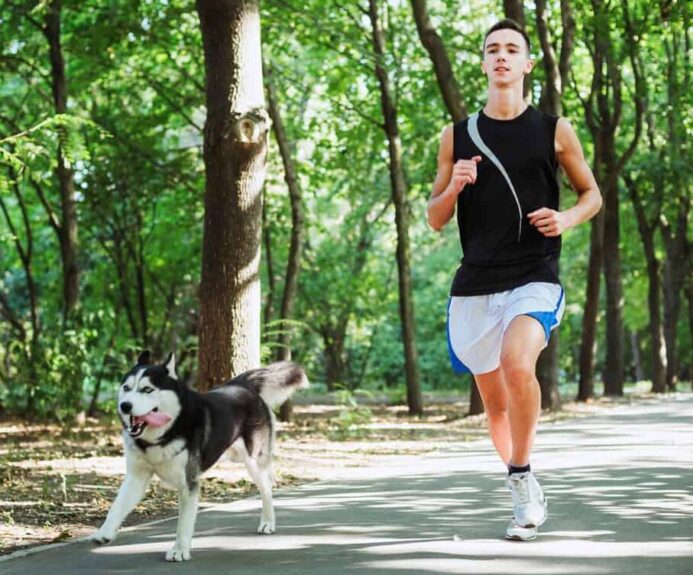 man runs with dog. forced exercise can injure dog