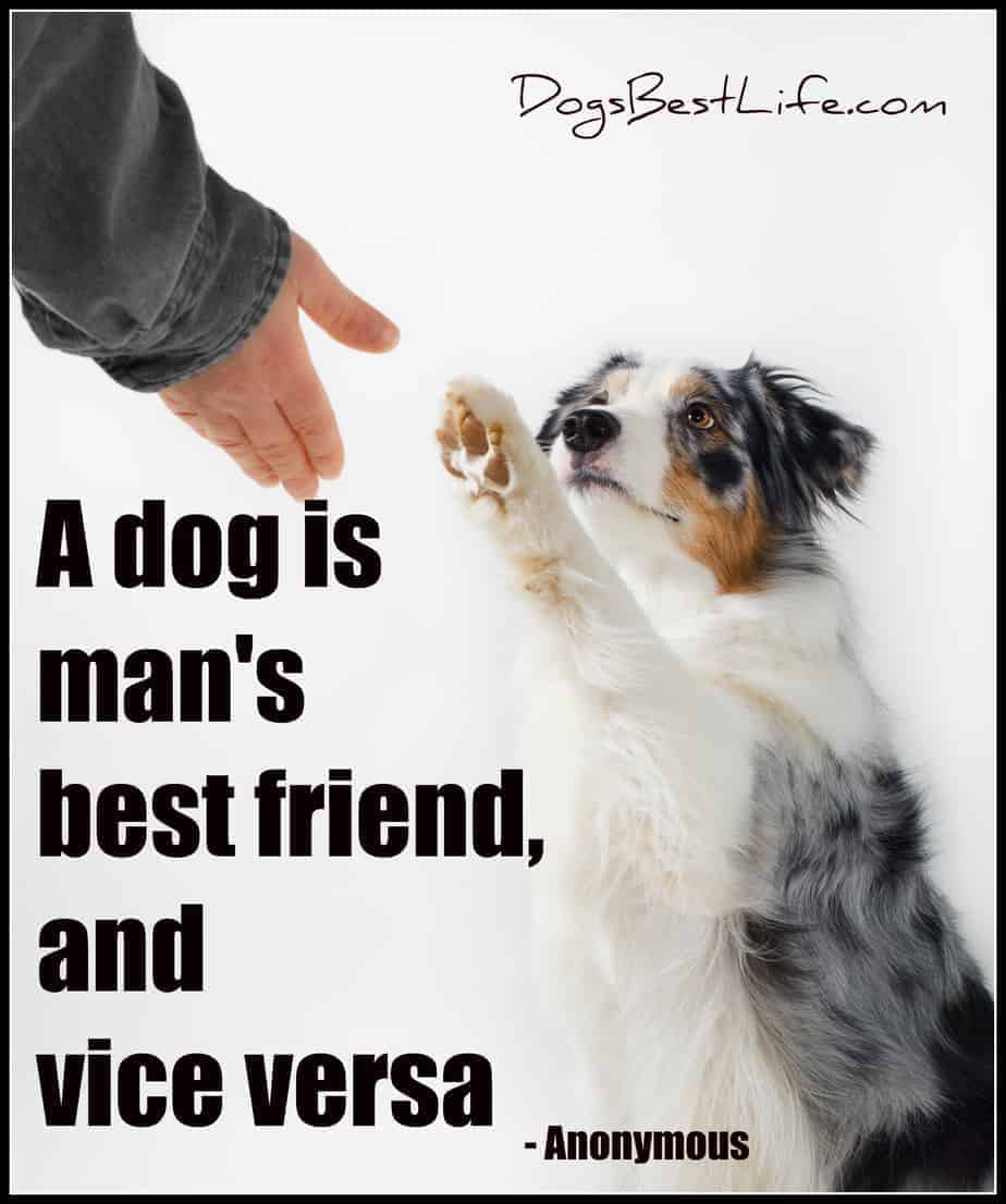 A dog is man's best friend, and vice versa