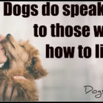 Dogs do speak