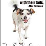 dogs laugh with tails