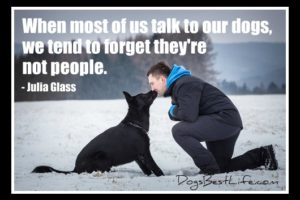 talk to dogs forget they're not people