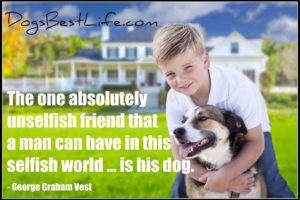 dog unselfish friend