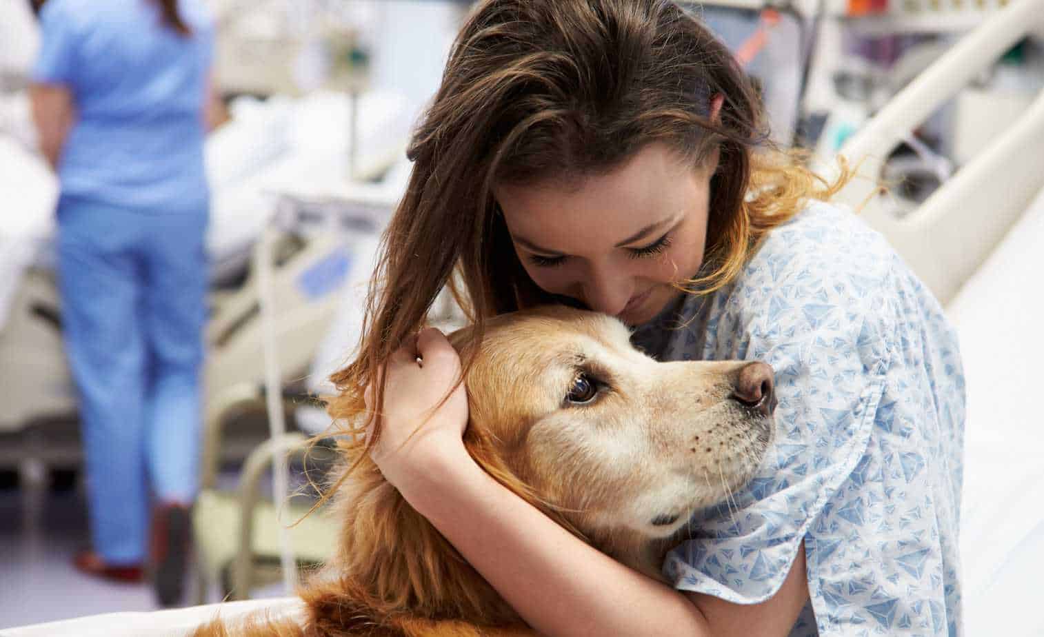 dogs visit hospital patients