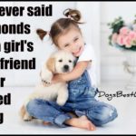 whoever said diamonds are a girl's best friend never have a dog