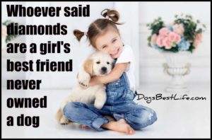 whoever said diamonds are a girl's best friend never have a dog