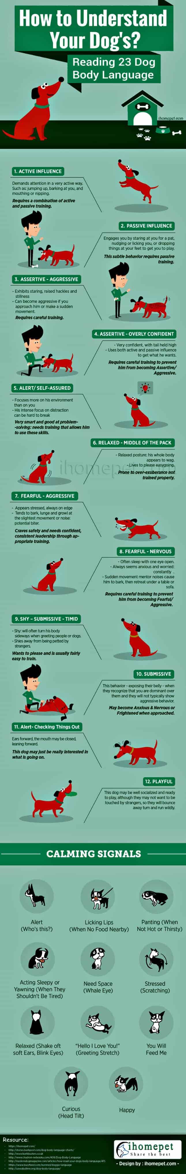 dog body language infographic