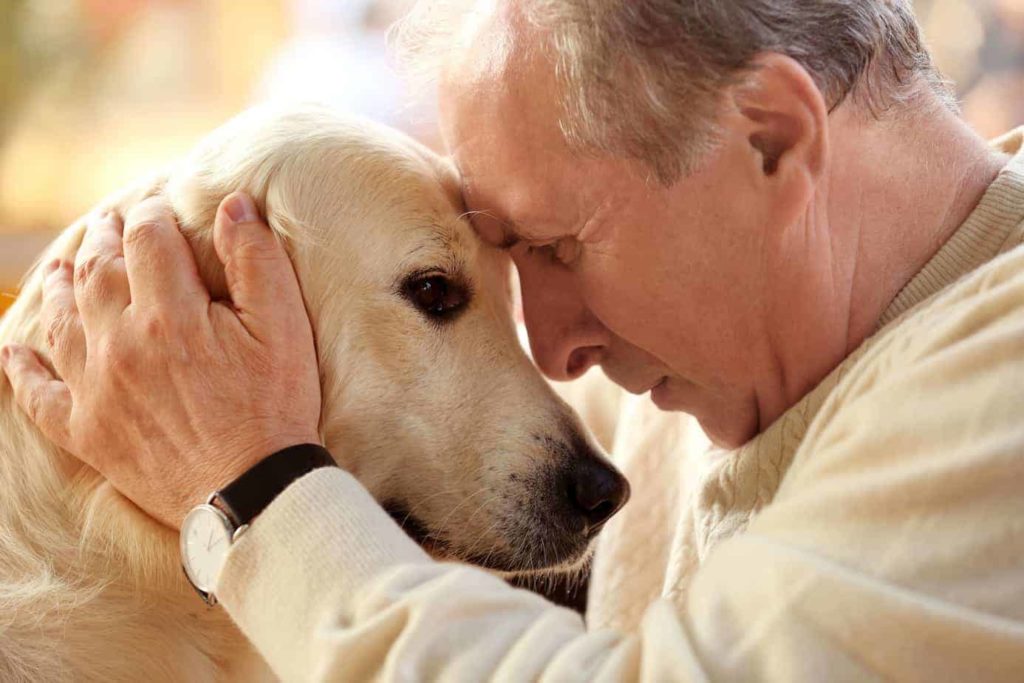 old man comforts old dog