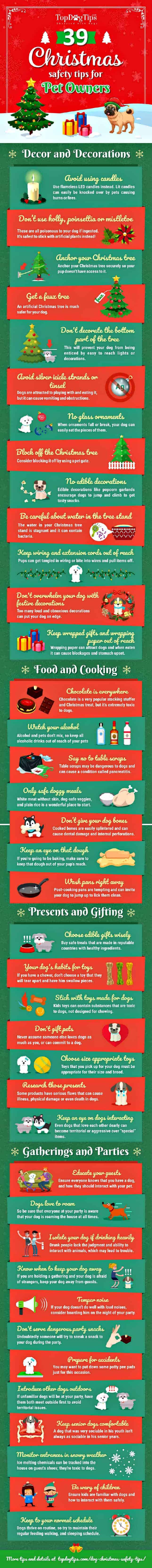 Christmas safety tips