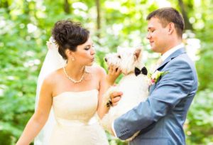 include dog in your wedding 