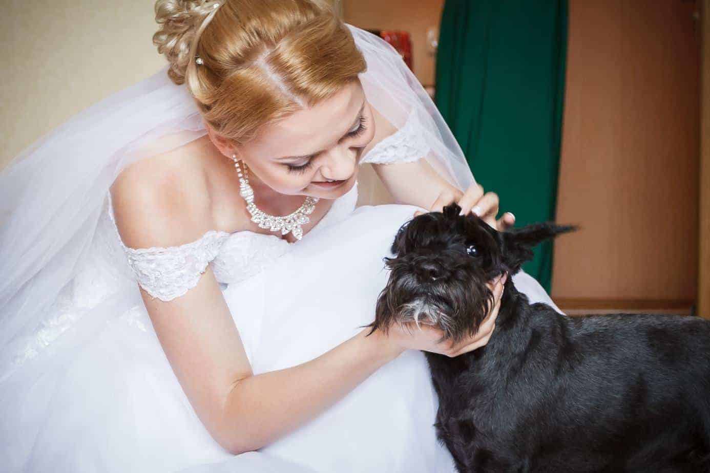 Make your dog part of your wedding day