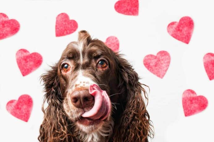 puppy kisses