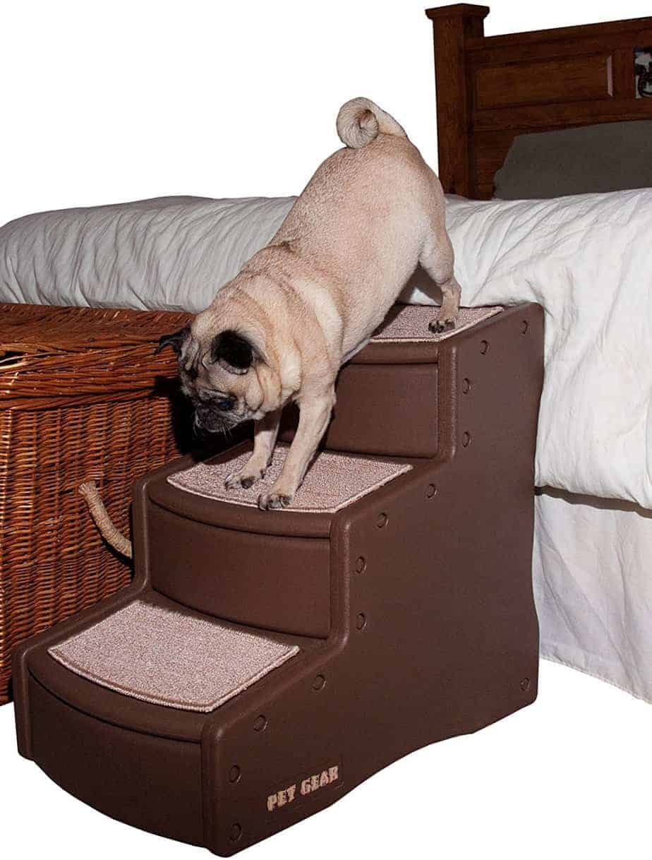 pet stairs