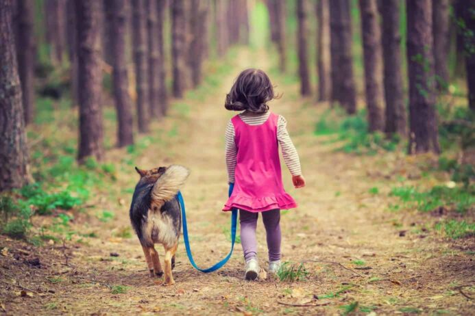 back to school tips for dogs