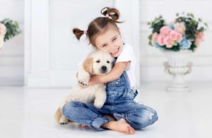 dogs provide Young girl hugs a Labrador puppy. The unconditional love of a puppy helps boost self-esteem, which is an example of how dogs provide health benefits for children.