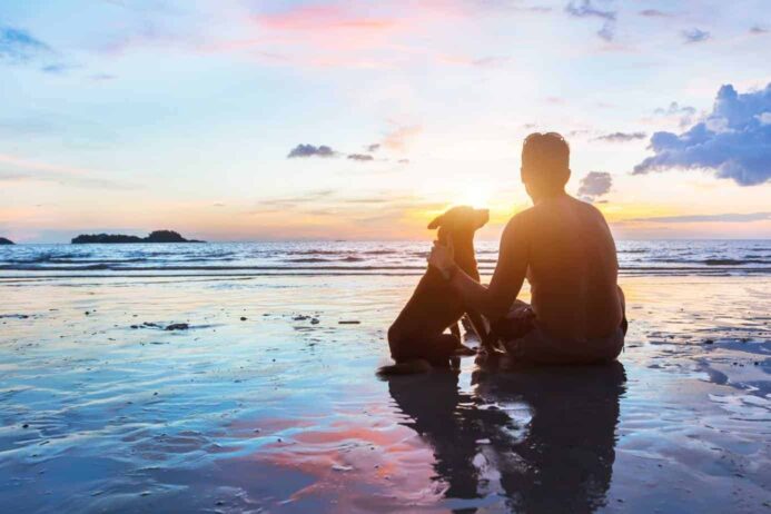 Dog and man watch sunset on beach. Dogs help people with mental illness by reducing the health risks of loneliness.