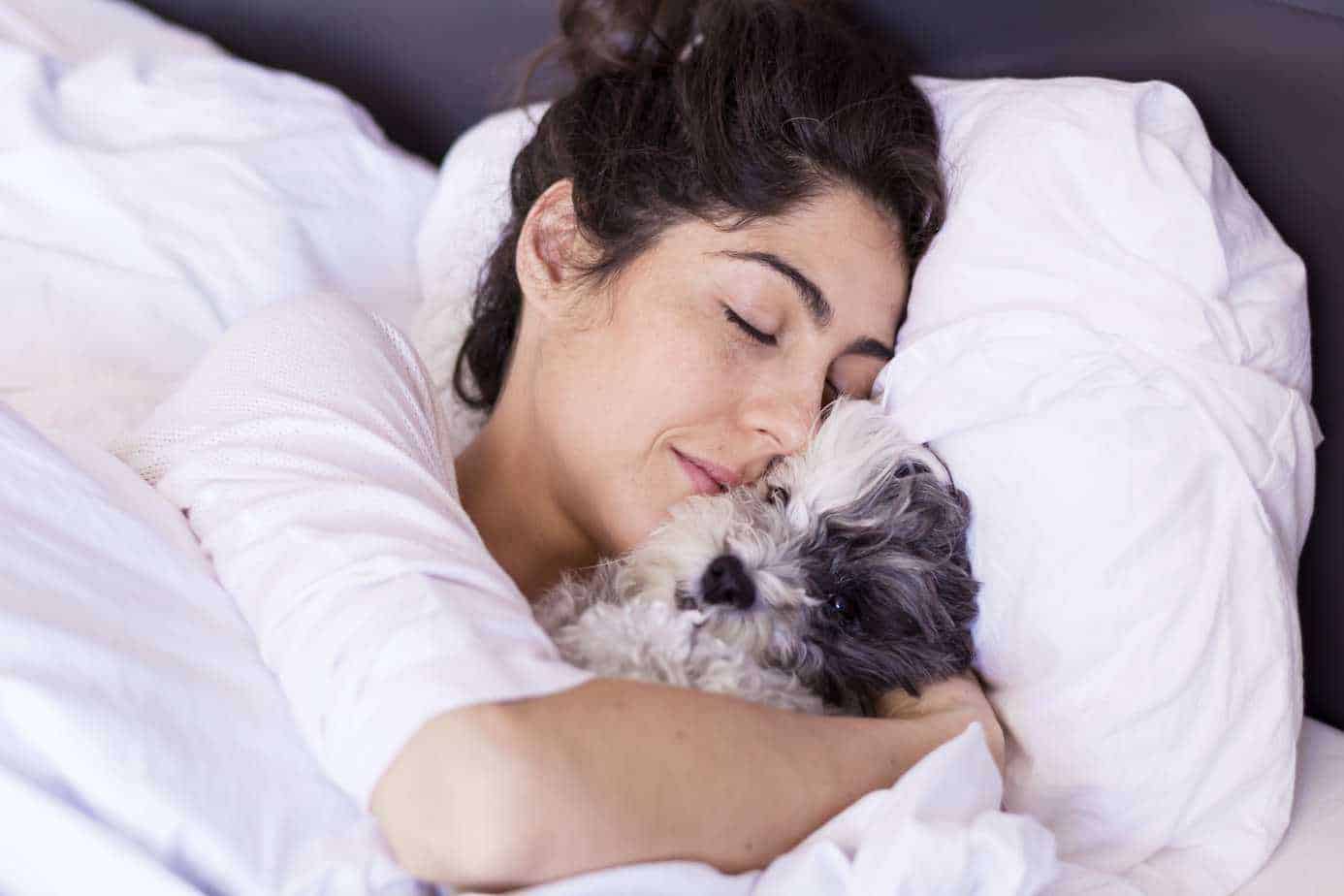 Science says sleep with your dog. Sleeping woman cuddles with her Cavapoo.