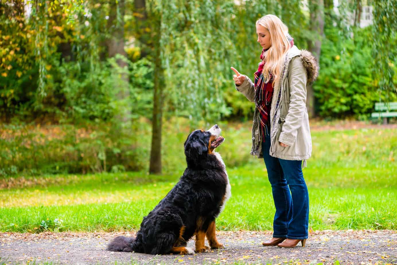 Teach your dog trail etiquette
