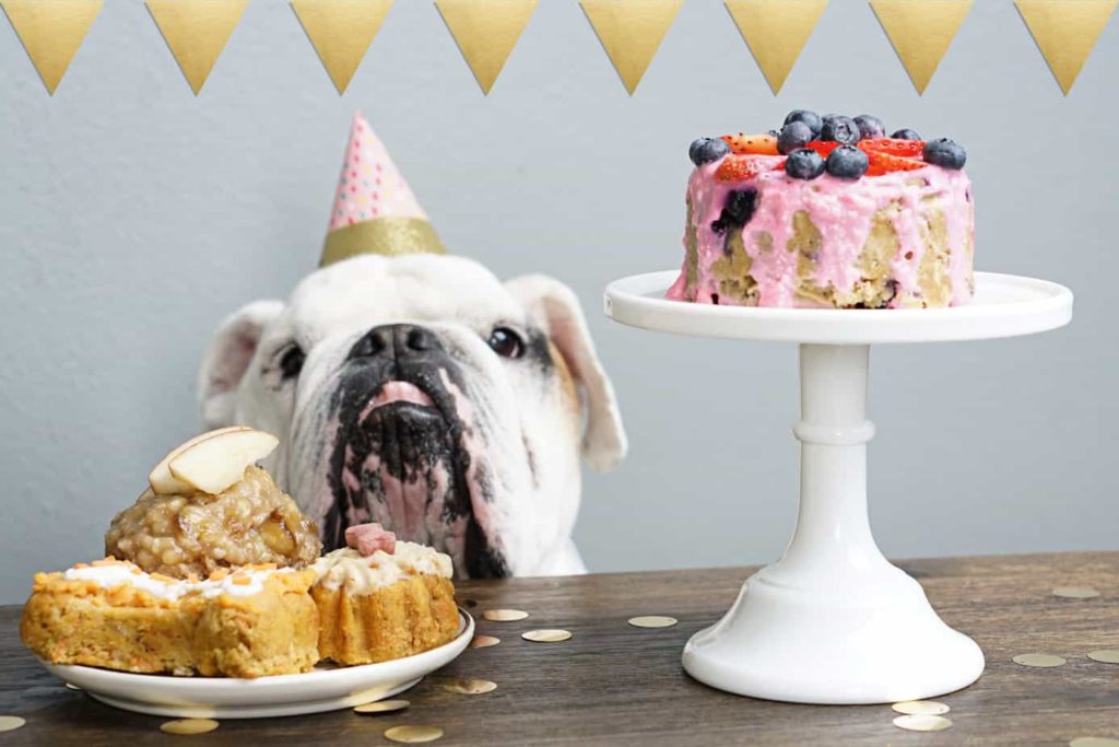 dog cakes