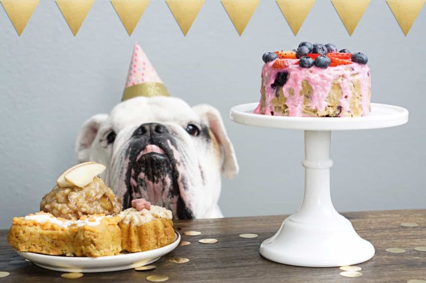 dog cakes