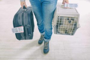 Woman carries dog in crate and suitcase before flying with your dog.