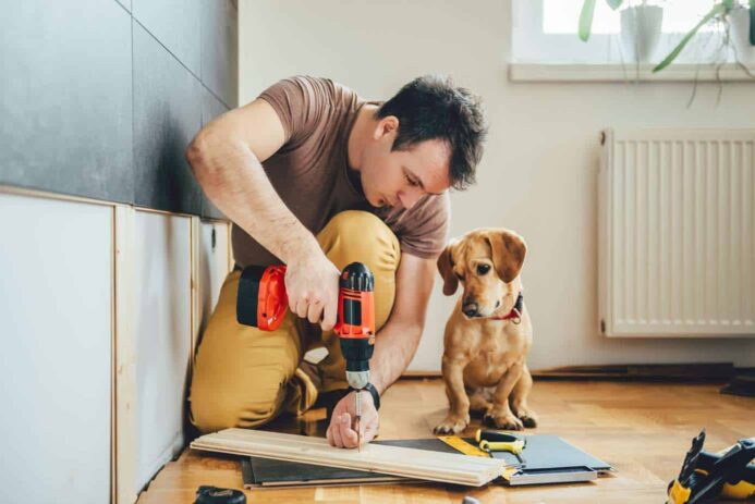 keep your dog safe during home renovations