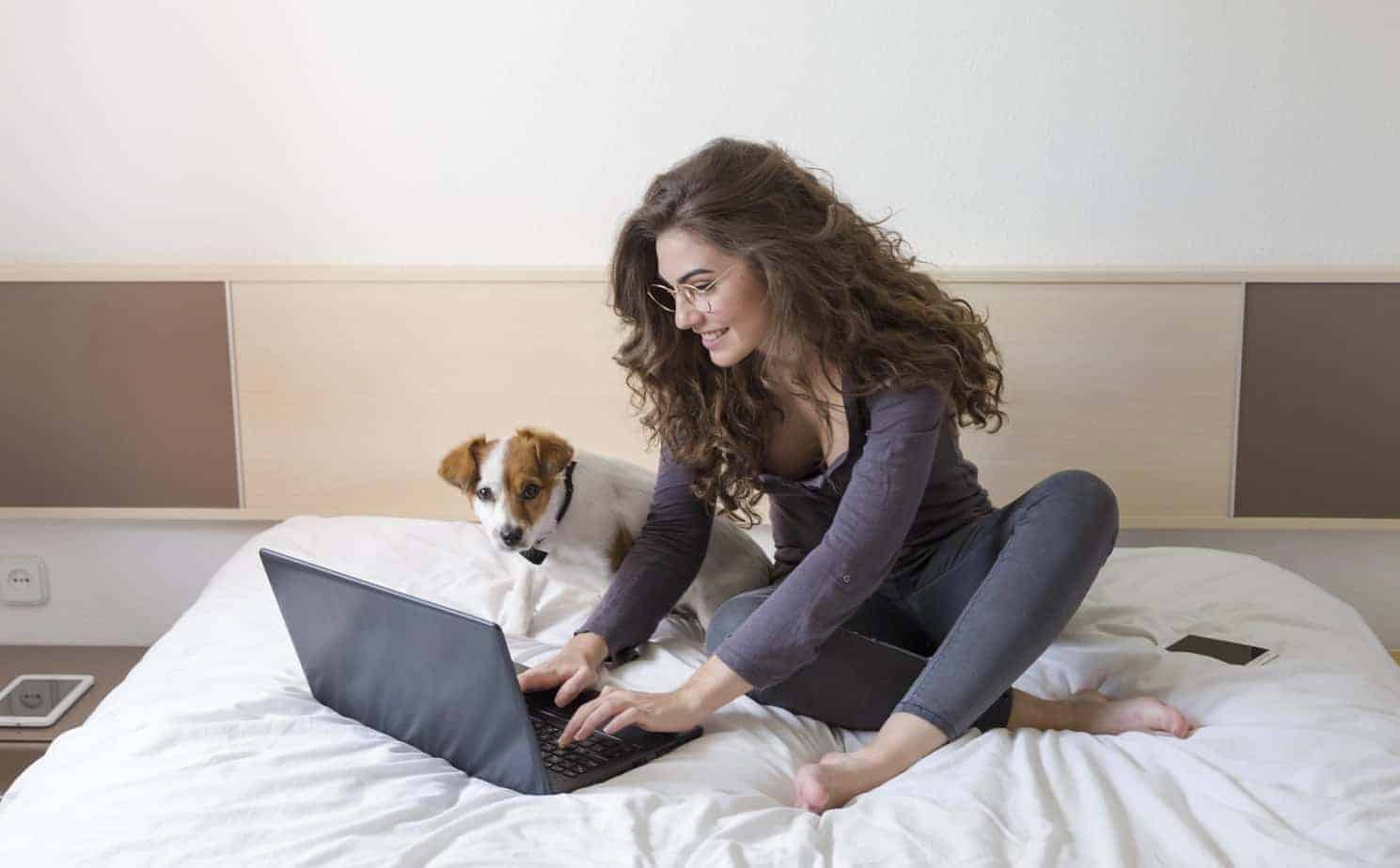Attractive woman sits on bed with a Jack Russell terrier using a computer to write a pet resume.