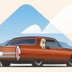Get ready for an adventure using these dog road trip rules.