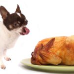 Turn holiday leftovers into pet food instead of allowing your pup a few table scraps here and there. Understand which foods are safe.