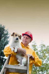 Man rescues small dog. Before disaster strikes, be sure you have a pet emergency plan.