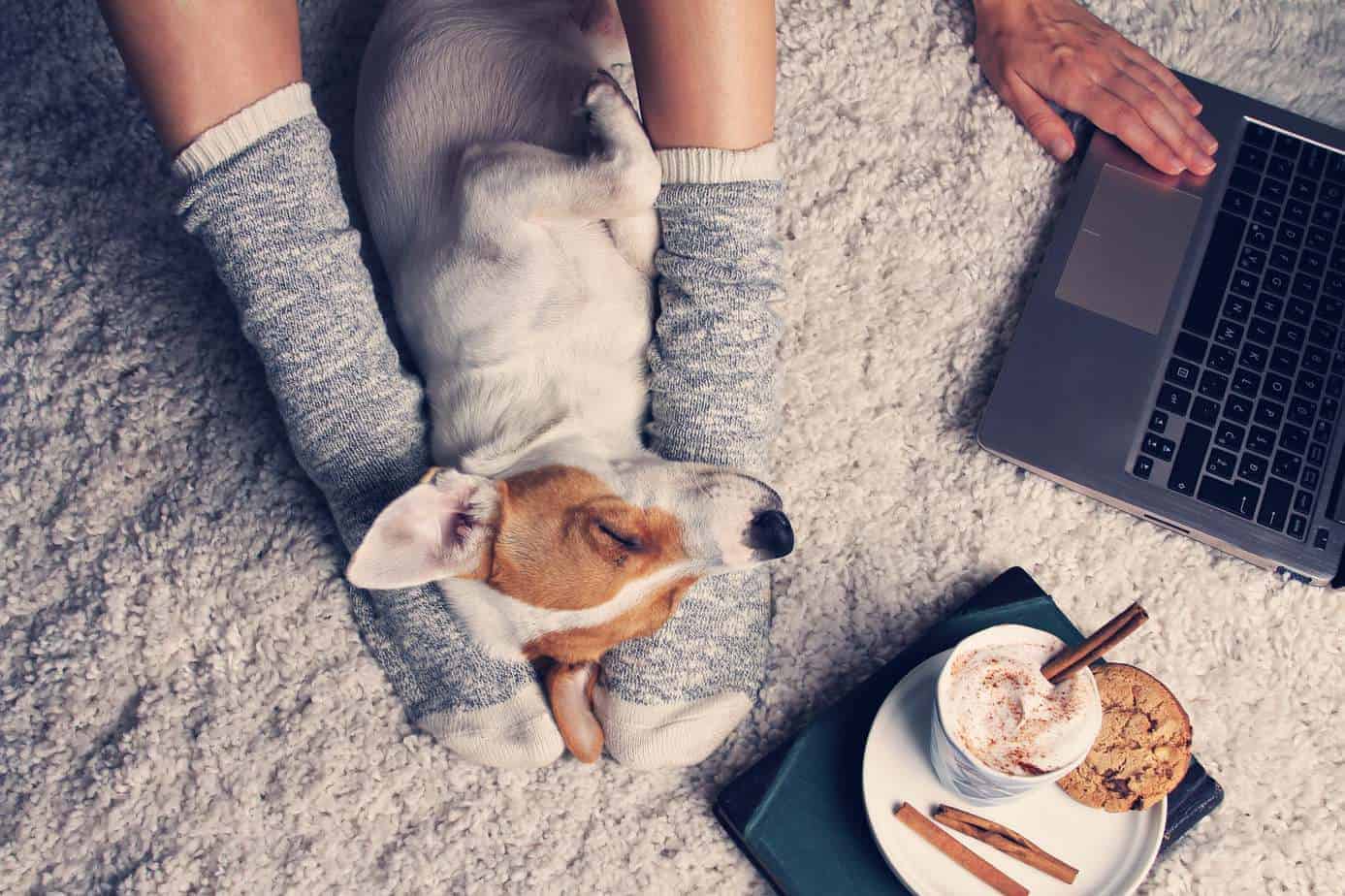 Adopting a dog after a breakup: Woman snuggles with dog by her laptop.