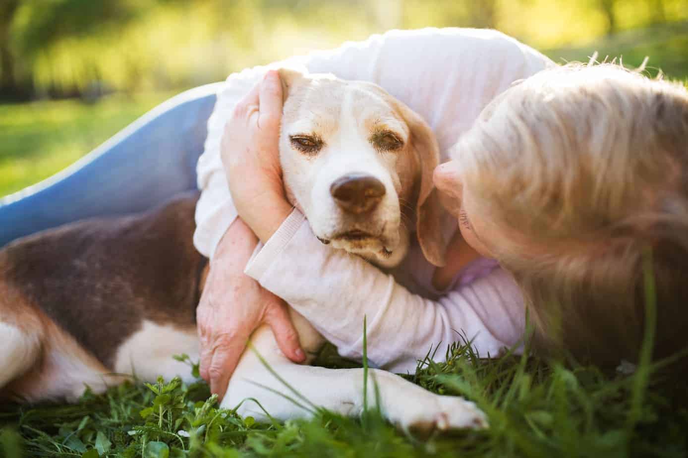 Woman cuddles her senior dog. Senior dogs require extra care.
