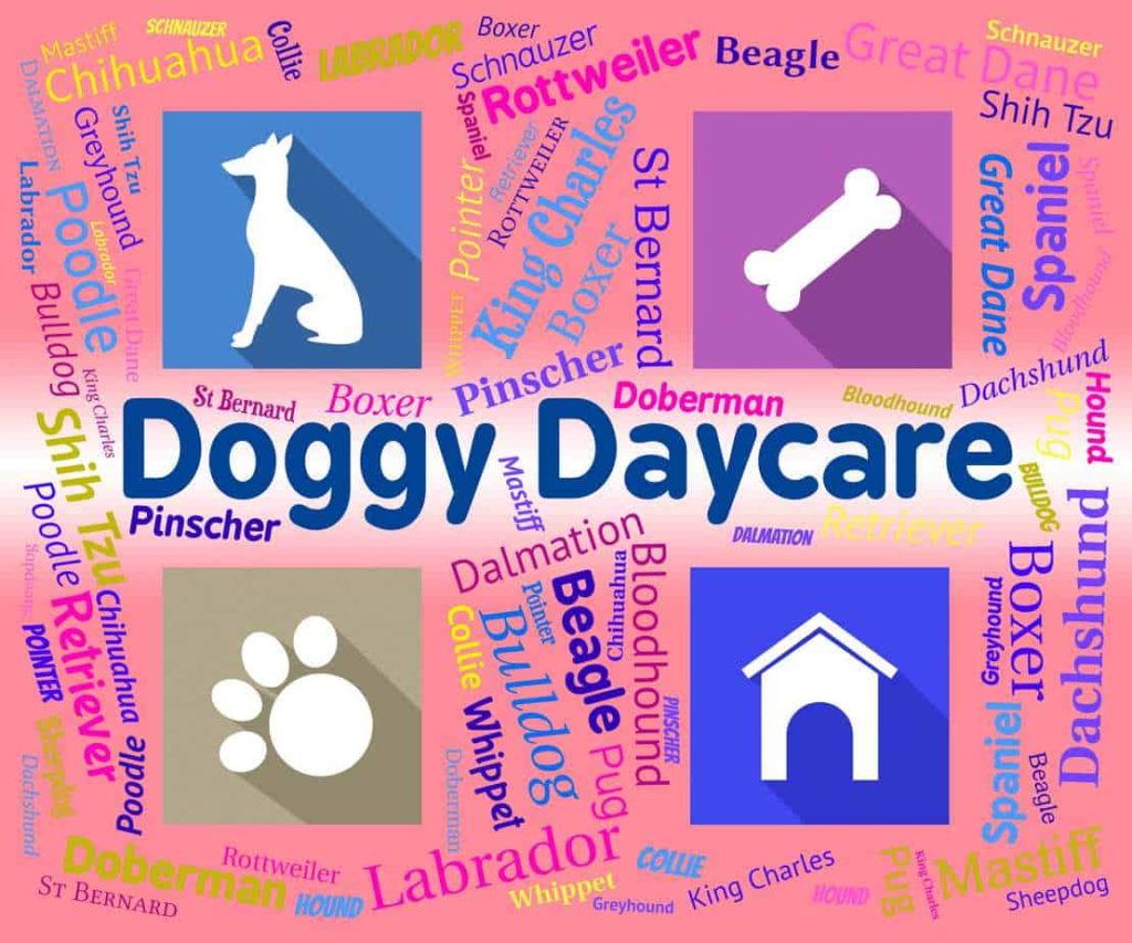 doggy daycare graphic 