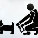 clean up dog poop to avoid dog poop dangers