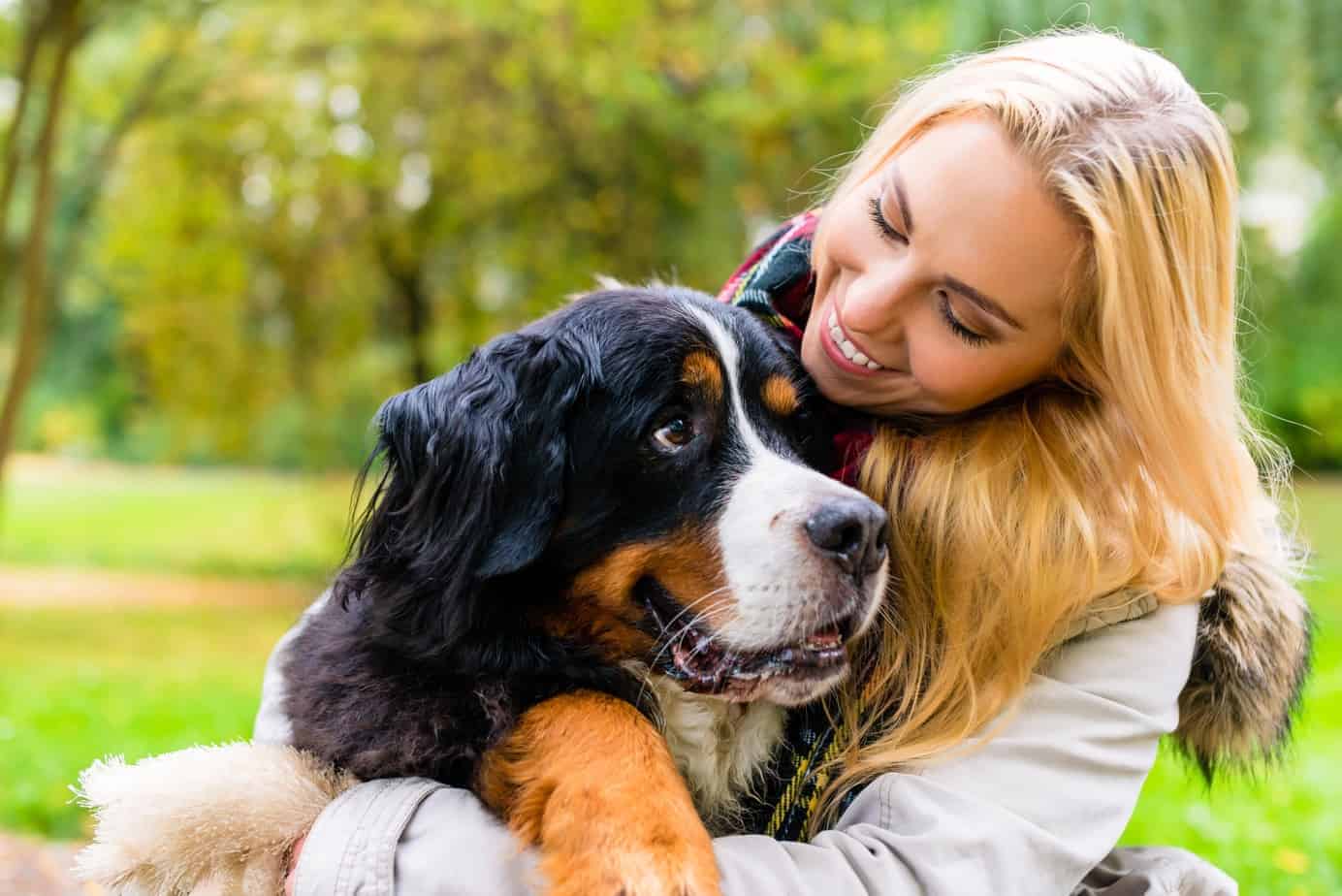 Woman hugs Bernese mountain dog. Living with dogs improves owners' health, happiness by boosting exercise, lowering cholesterol and blood pressure and reducing loneliness.