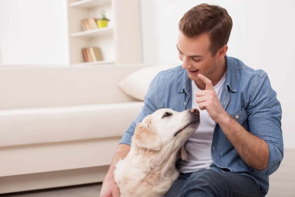 Man plays with Labrador dog. Use first-time dog owner guide.