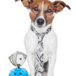 Jack Russell terrier wearing a tie and sitting next to a piggy bank stuffed with money. Thrifty dog owner: Save money by buying food in bulk and making your own treats and toys.