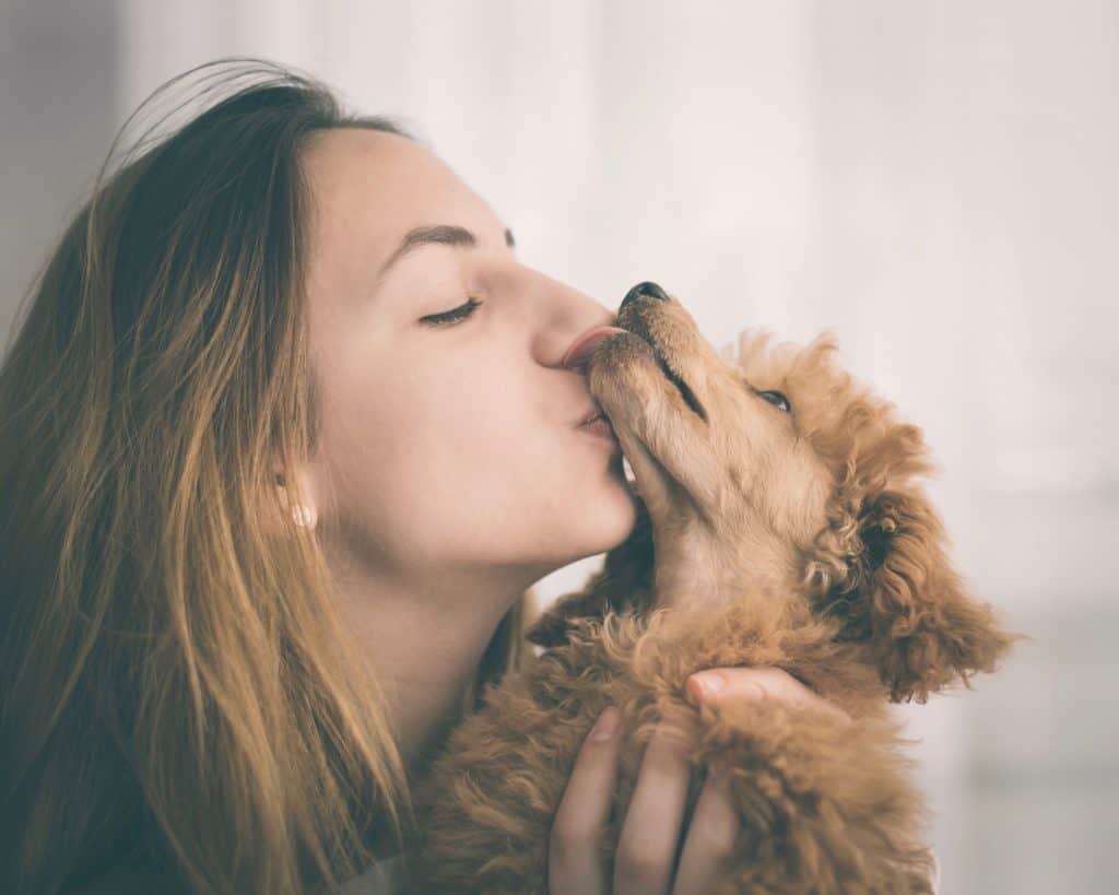 Woman kisses miniature poodle. The 2018 General Social Survey shows dog owners are twice as happy as cat owners.