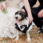 Bride and groom pose with dog in a tuxedo for a dog-friendly wedding.