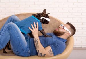 Man plays with French Bulldog. Both are wearing 3-D glasses. Dogs learn to imitate their owners' personality traits and behavior.