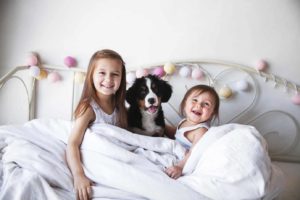 Two girls cuddle in bed with Bernese mountain dog puppy. 